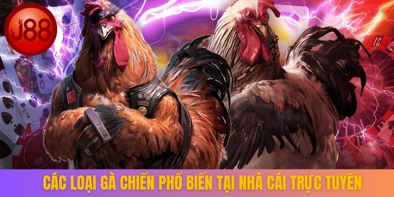 Các cửa cược phổ biến khi đá gà cựa sắt
