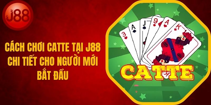Cách Chơi Catte Tại J88 Chi Tiết Cho Người Mới