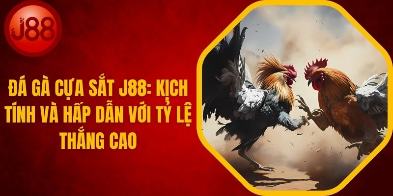 Đá Gà Cựa Sắt J88 - Kịch Tính Và Hấp Dẫn