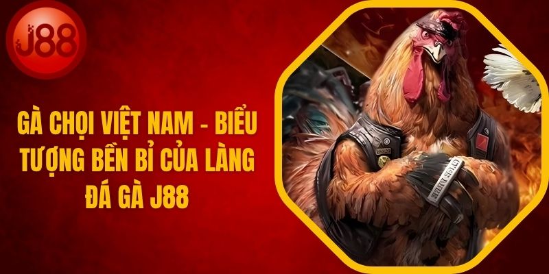 Gà Chọi Việt Nam - Biểu Tượng Của Đá Gà J88