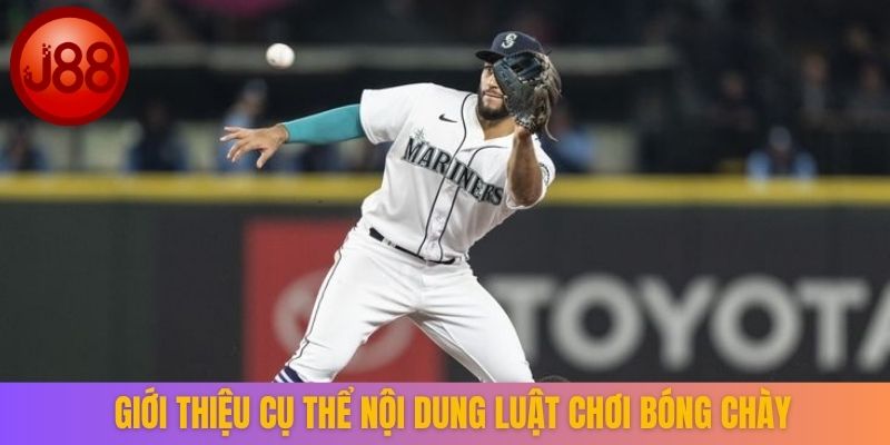 Giới thiệu cụ thể nội dung luật chơi bóng chày