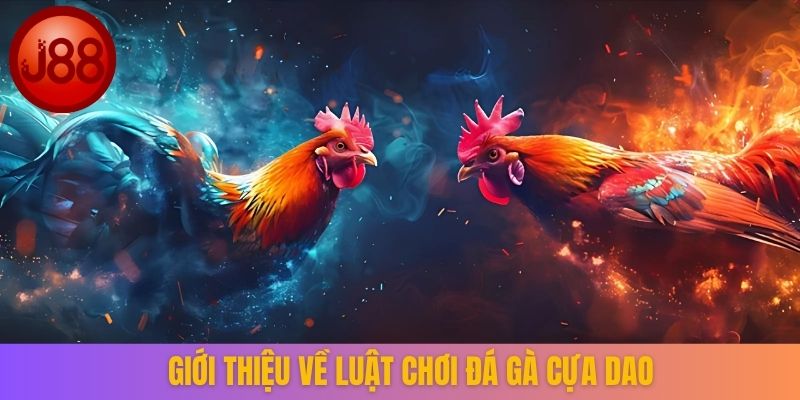 Giới thiệu đá gà cựa dao