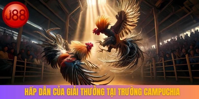 Hấp dẫn của giải thưởng tại trường Campuchia