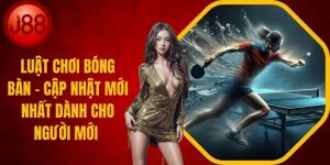 Luật Chơi Bóng Bàn - Những Cập Nhật Mới Nhất