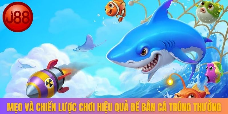 Mẹo và chiến lược chơi hiệu quả để bắn cá trúng thưởng