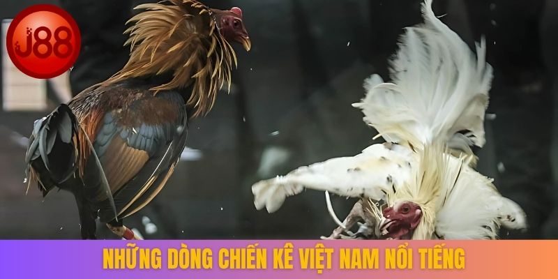 Những dòng chiến kê Việt Nam nổi tiếng