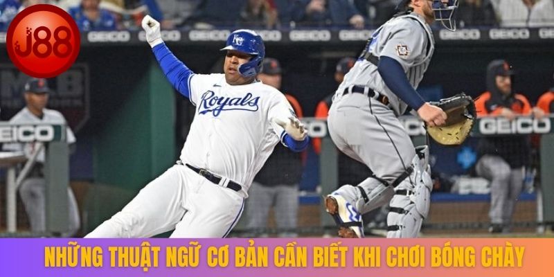 Những thuật ngữ cơ bản cần biết khi chơi bóng chày