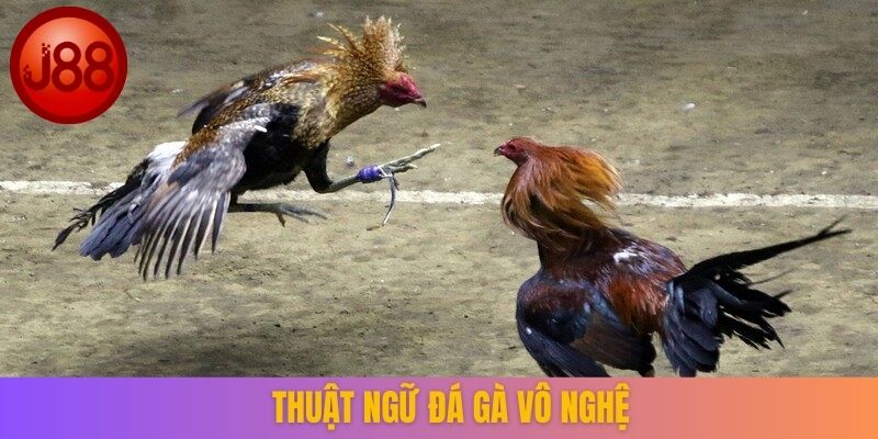 Thuật ngữ đá gà Vô nghệ