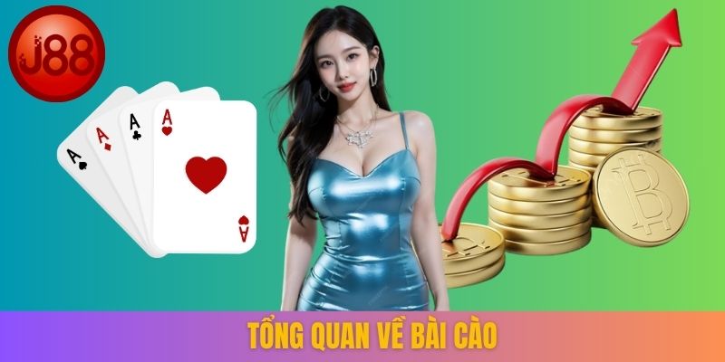 Tổng quan về bài cào