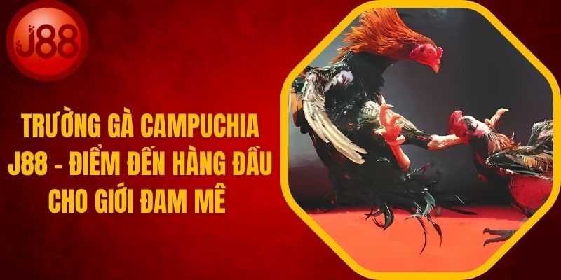 Trường Gà Campuchia J88 - Điểm Đến Siêu Hot
