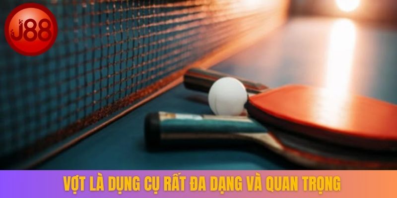 Vợt là dụng cụ rất đa dạng và quan trọng